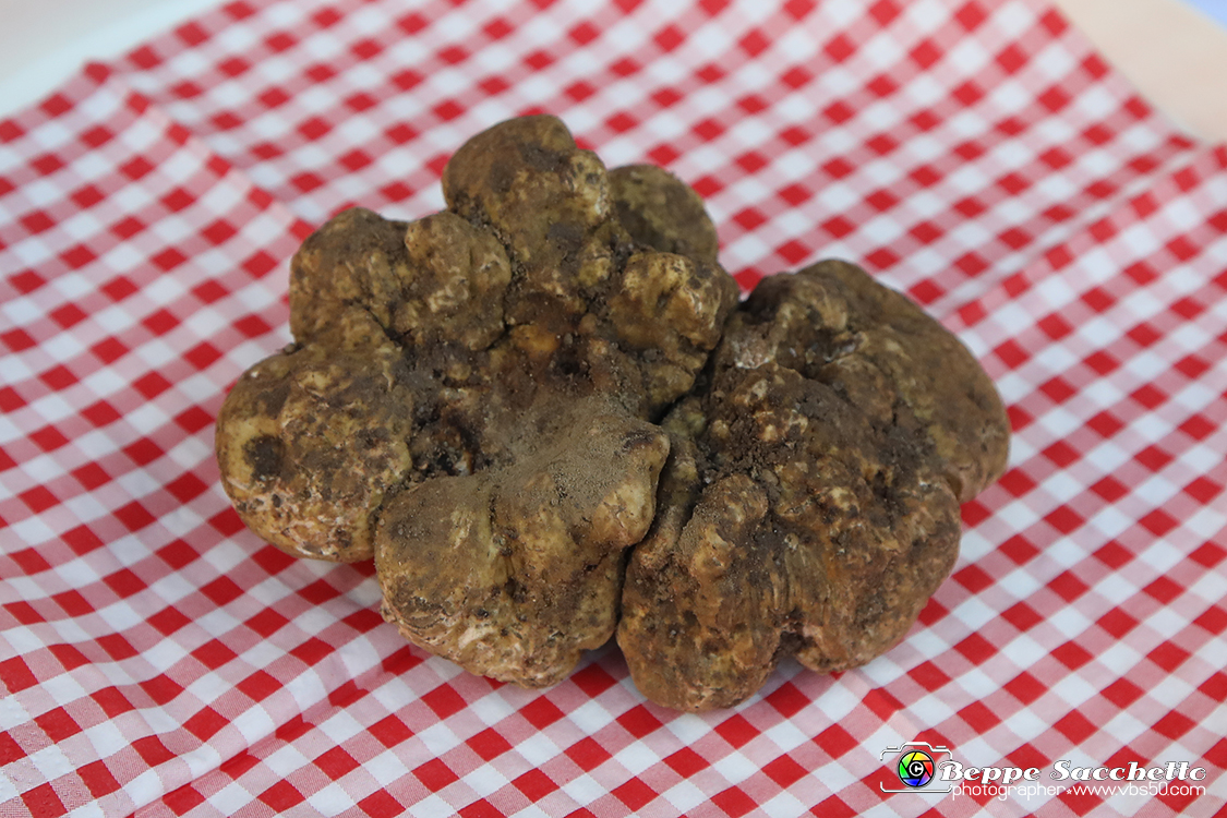 VBS_5665 - 10.ma Fiera Nazionale del Tartufo e Fiera dei Santi.jpg
